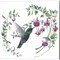 Male Costas & Magnificent Hummingbird by Brenda Tustian 14" x 14" Canvas Wall Art (Set of 2)